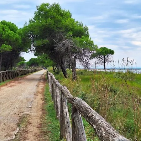 Flat With Spacious Balcony In *